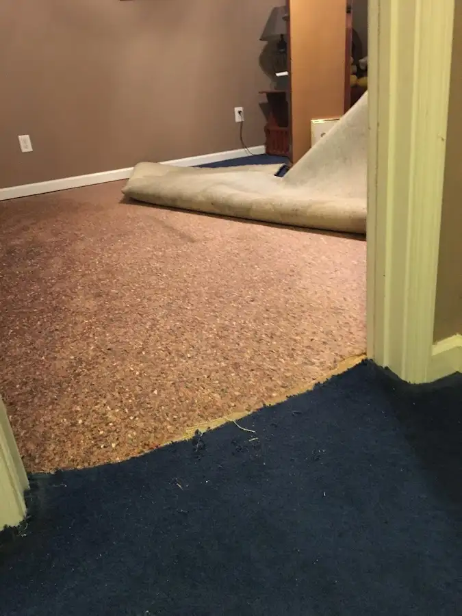 Carpet pad removal revealing water damage during Water Mitigation Services in Alachua