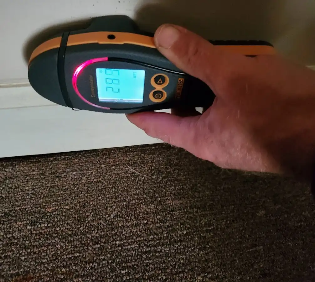 Moisture detection at baseboard during Mold Inspection & Testing in Alachua