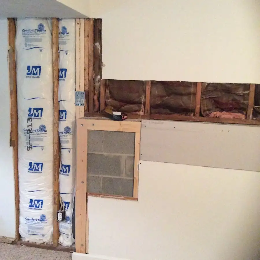 Wall insulation replacement during Basement Flood Cleanup in Alachua